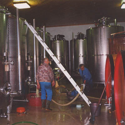 lavoro in cantina