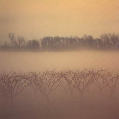 nebbia