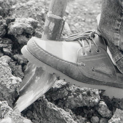 scarpa