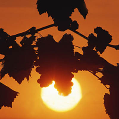 tramonto