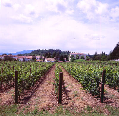vigna da dia