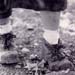 piedi paolina
