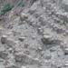 ponca1