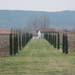 viale cipressi1