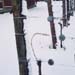 vigna neve