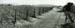 vigna panoramica